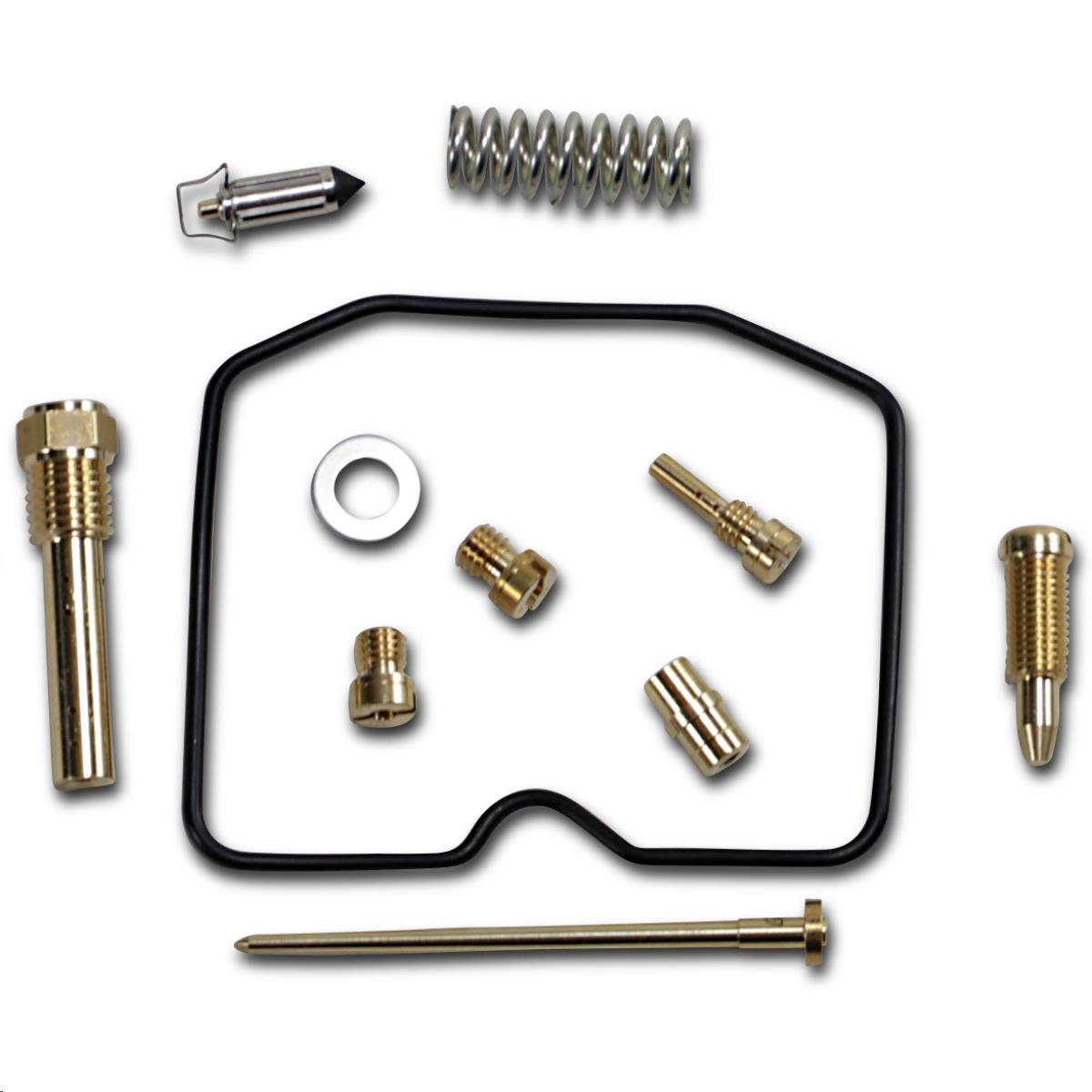 Carburetor Repair Kit
