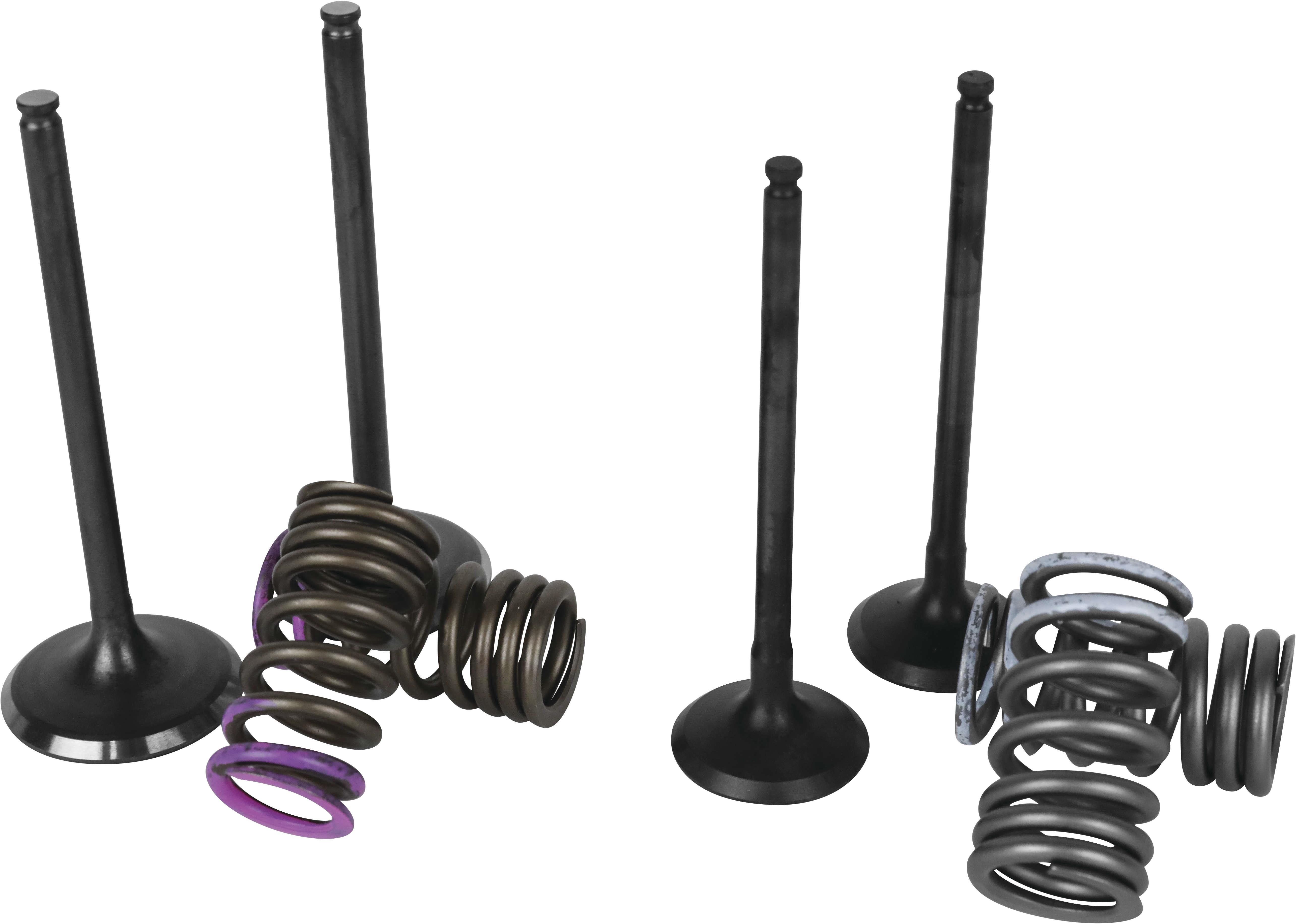 Garage Buddy Valve Set