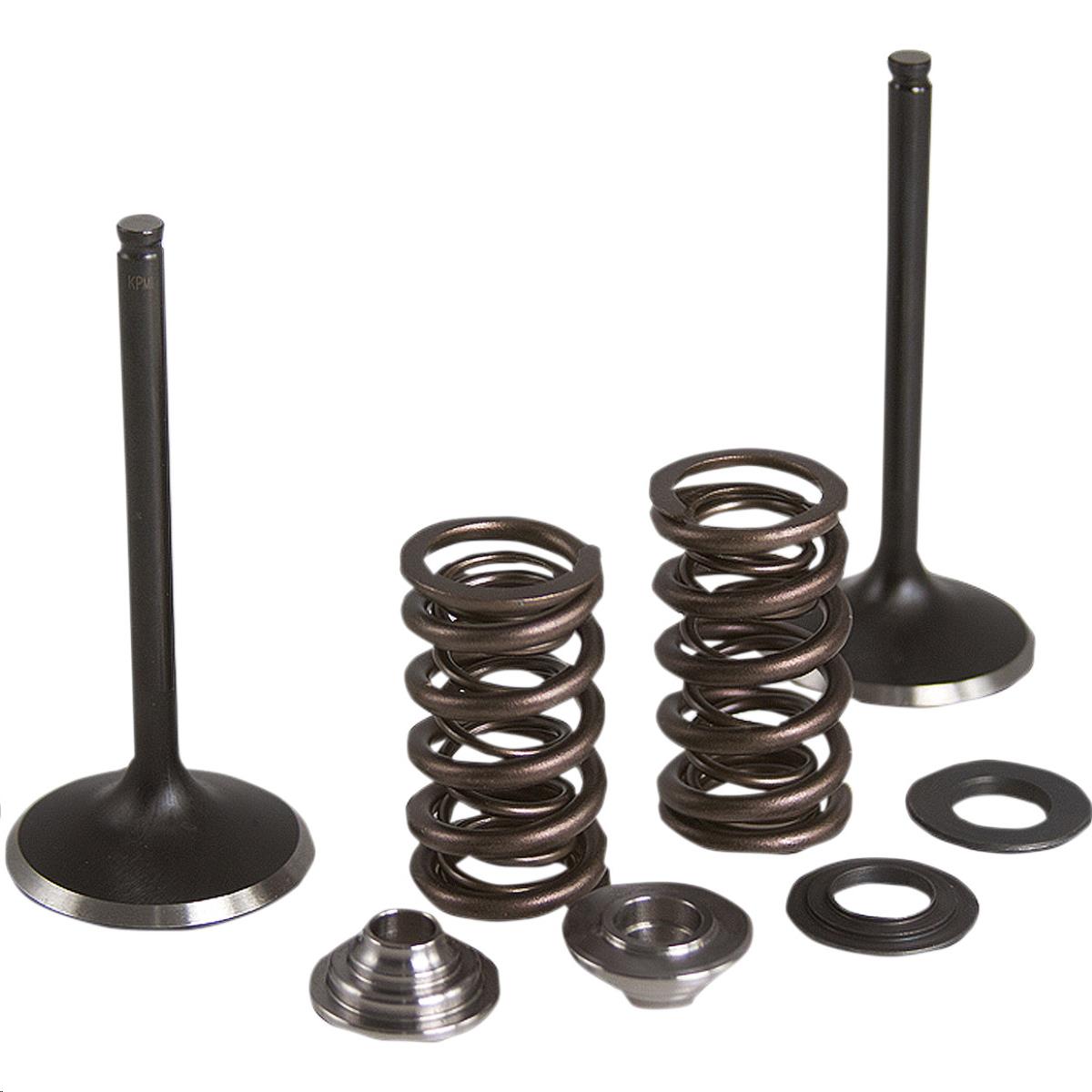 Intake Only Stainless Conversion Valve/Spring Kit