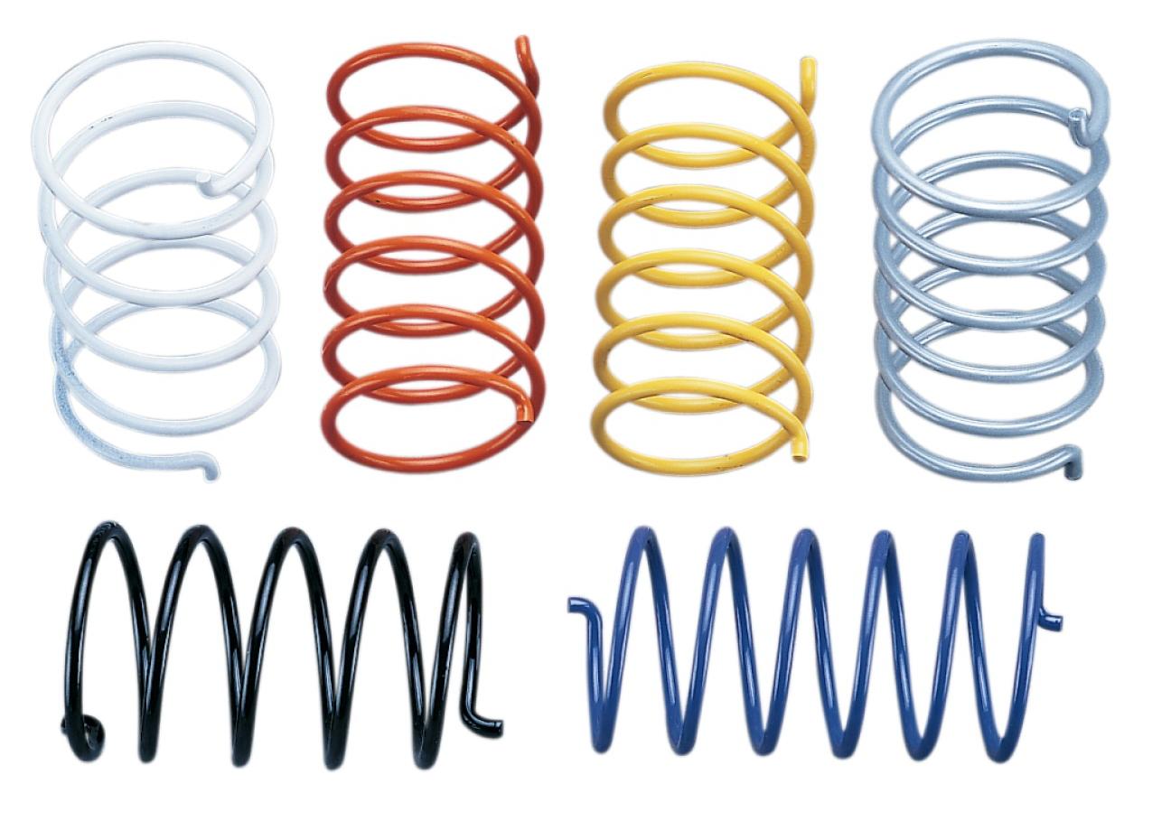 Secondary Driven Clutch Spring - Purple