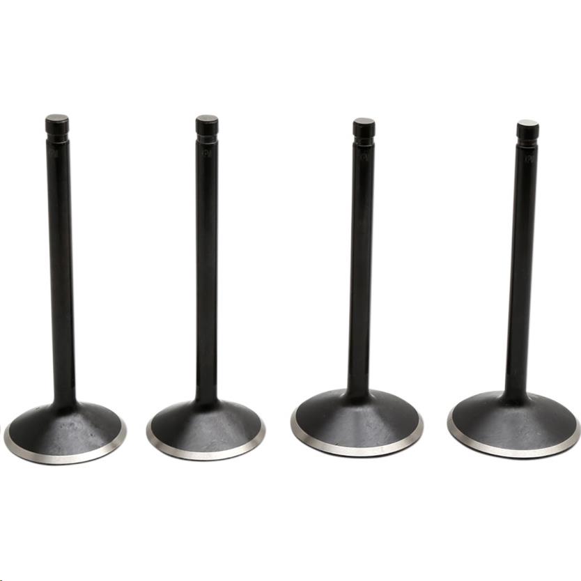 Black Diamond Valve Kits