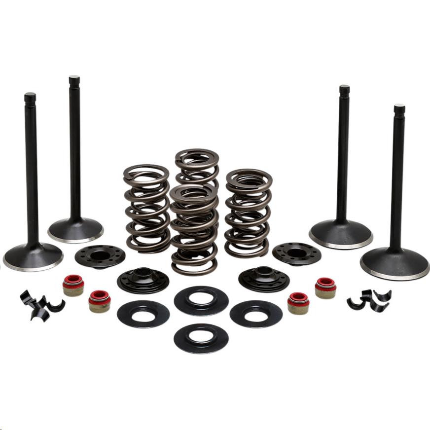 Engine Valve Kit