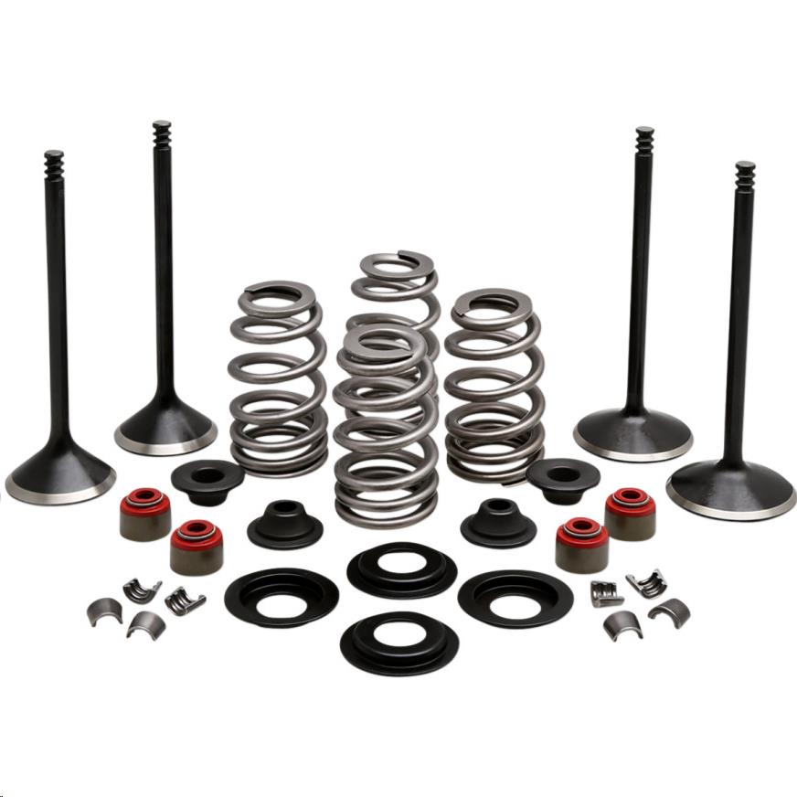 Engine Valve Kit