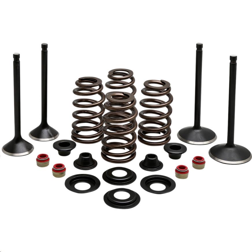 Engine Valve Kit