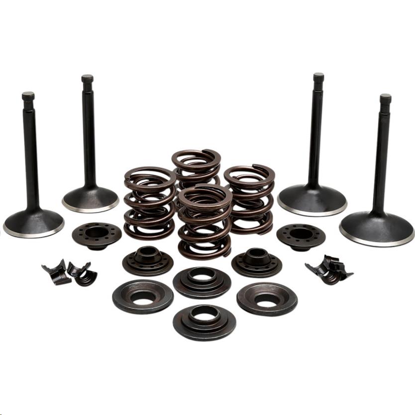 Engine Valve Kit