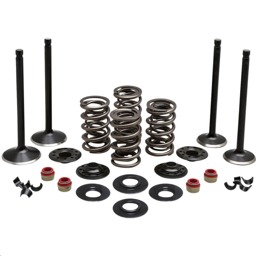 Engine Valve Kit