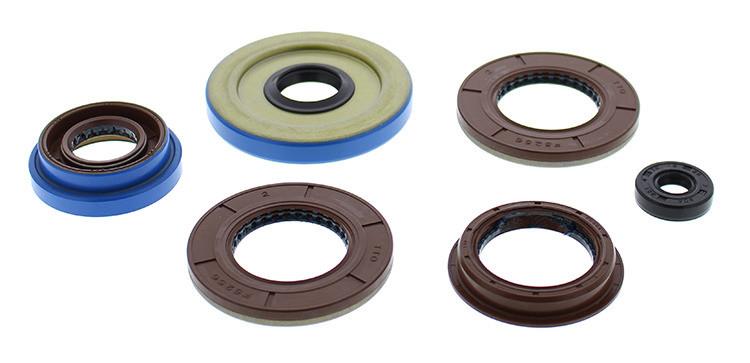 Oil Seal Kit