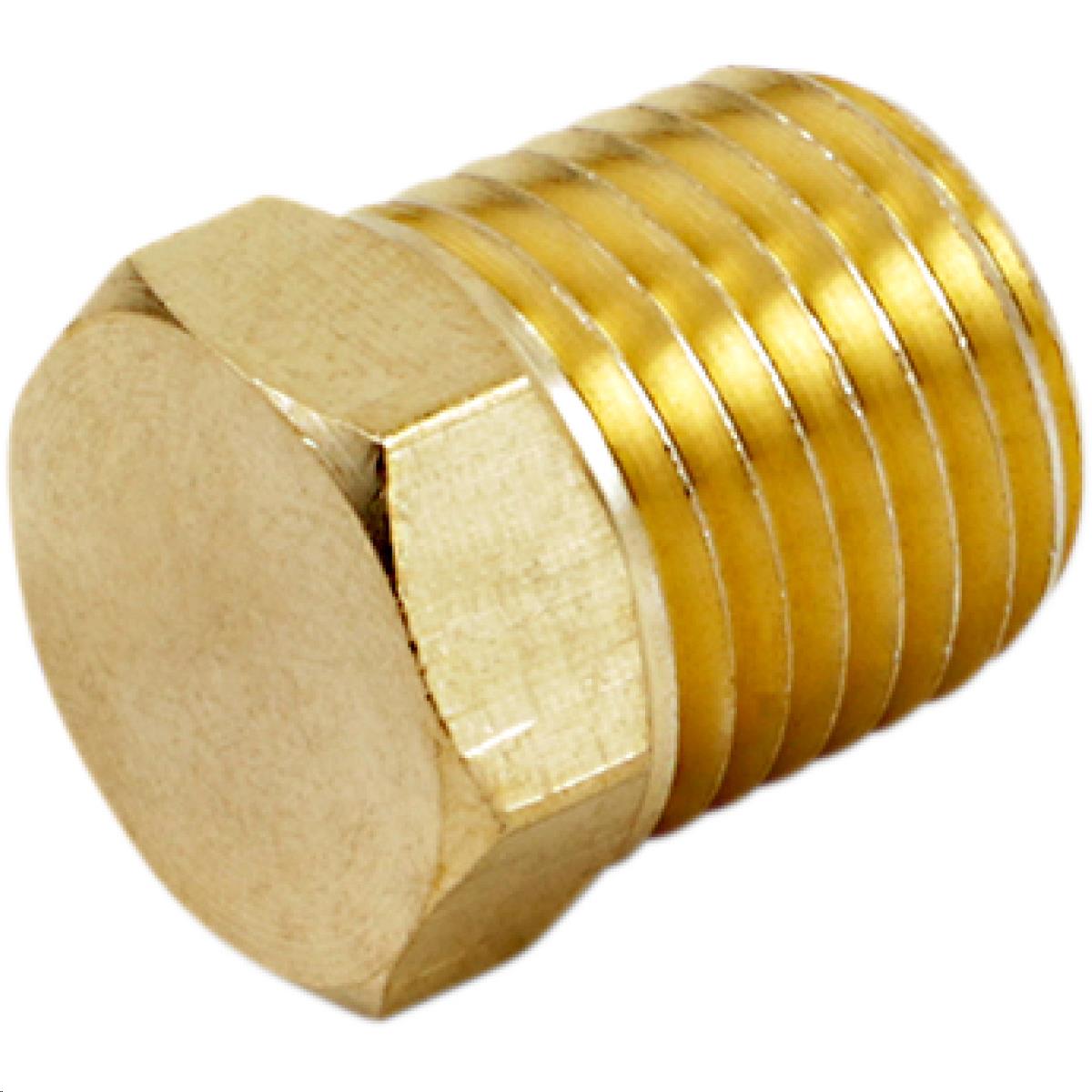 1/4in. M NPT Hex Plug