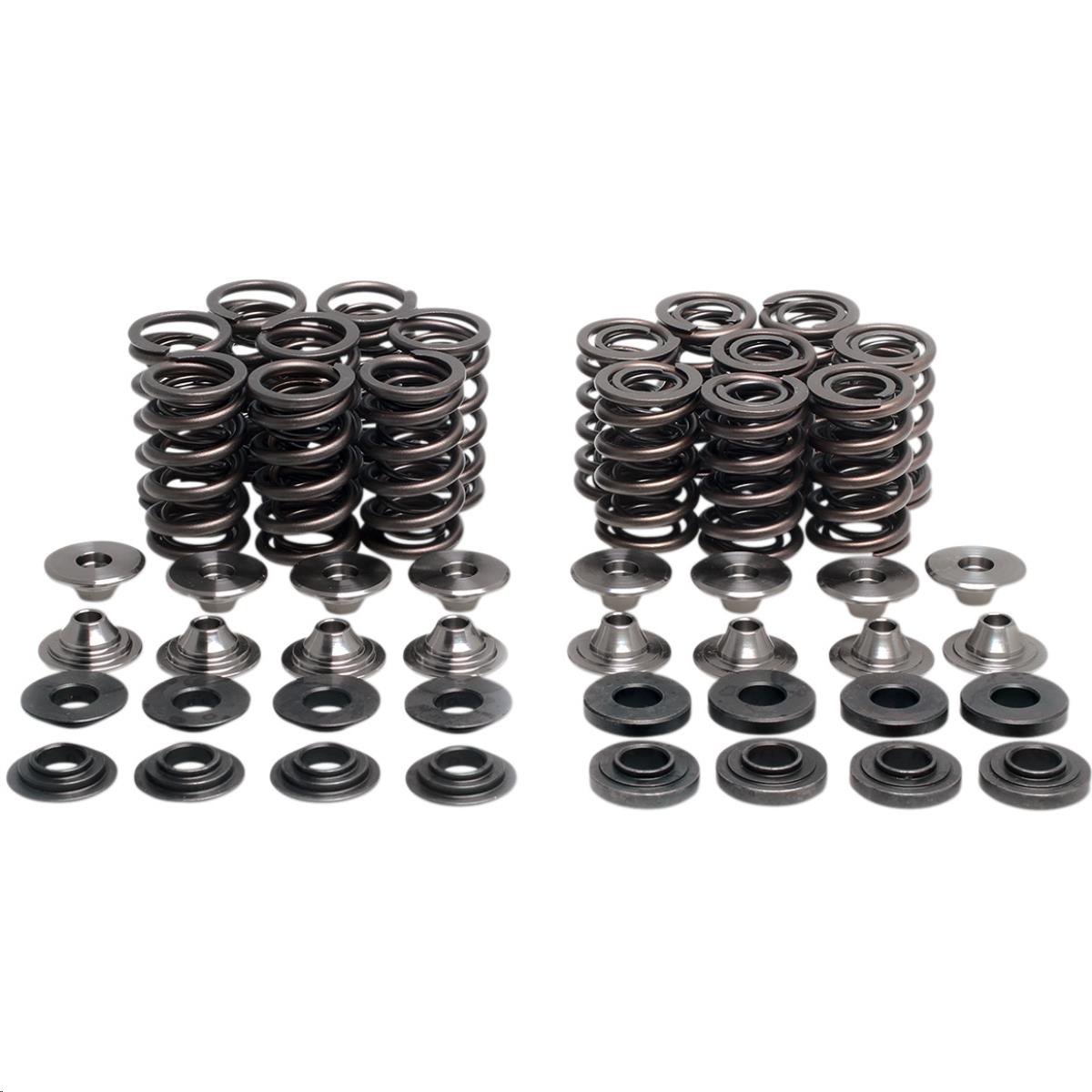 Lightweight Racing Valve Spring Kit