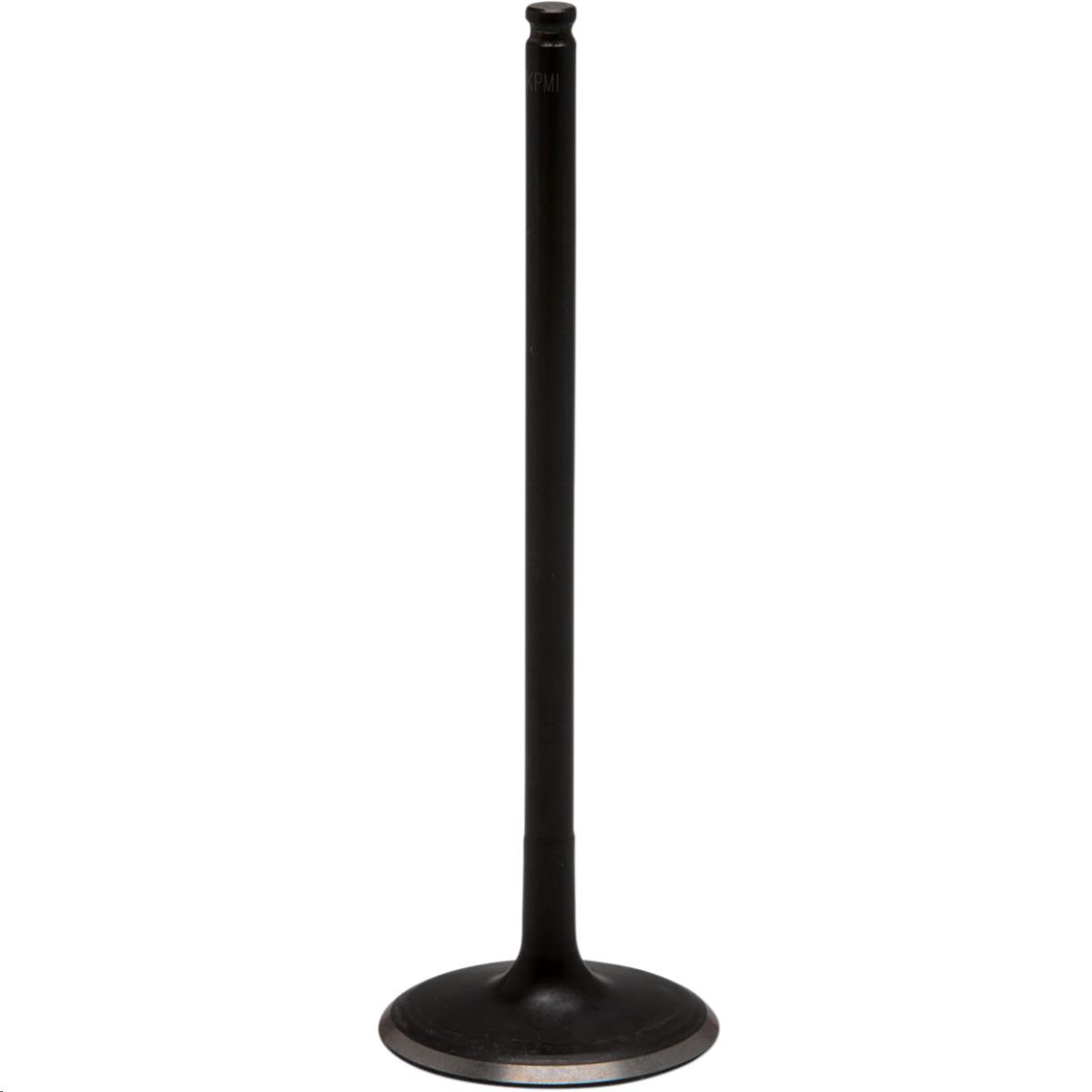 Black Diamond Intake Valve - Standard