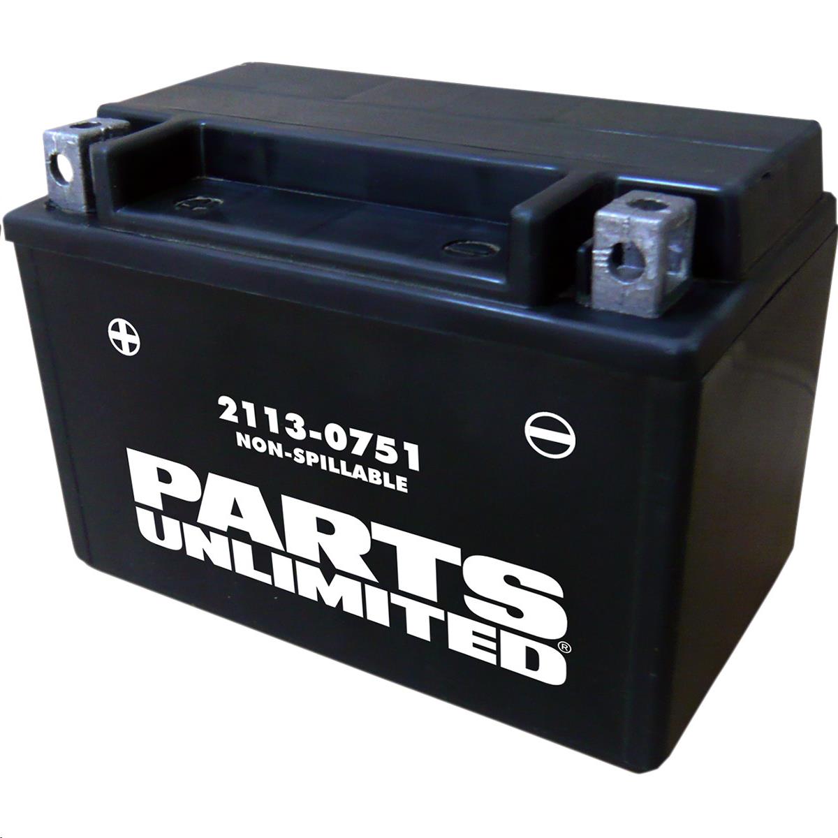 AGM Factory Activated Maintenance-Free Battery