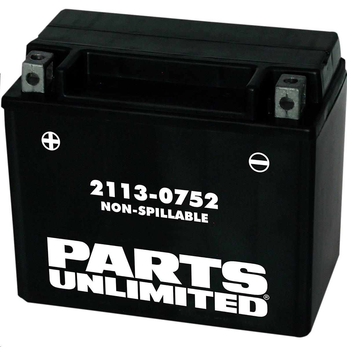 AGM Factory Activated Maintenance-Free Battery