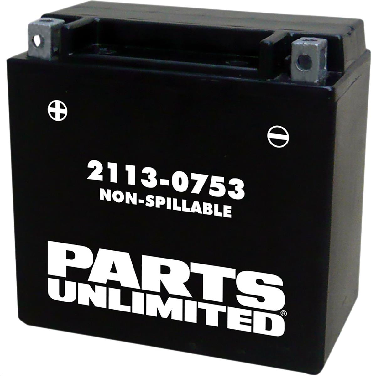 AGM Factory Activated Maintenance-Free Battery