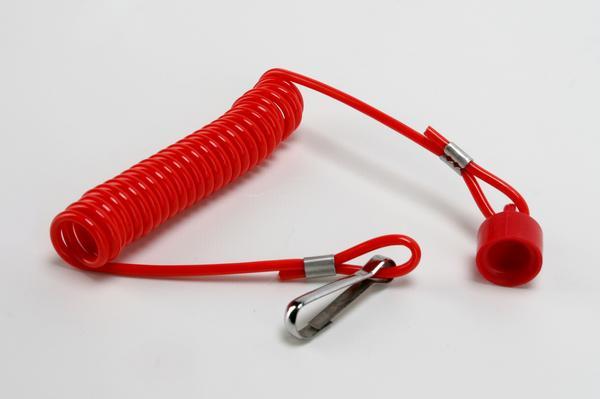 Replacement Cap and Coiled Cord