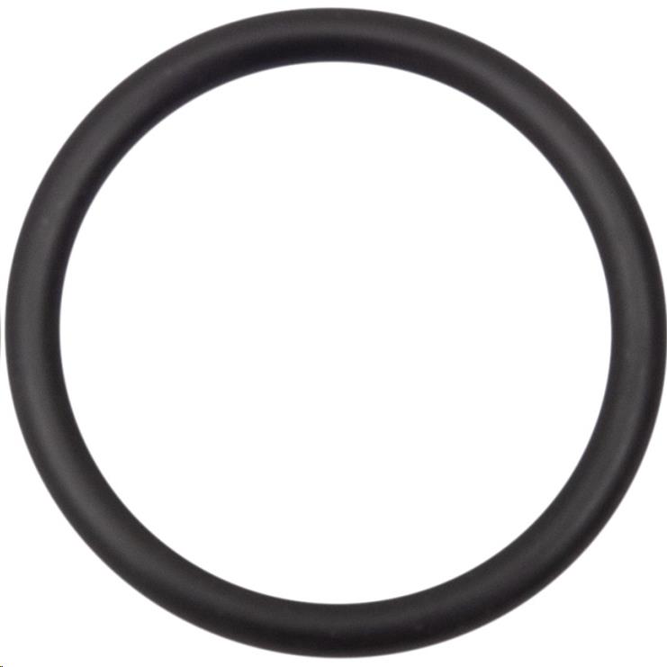 Starter O-Ring