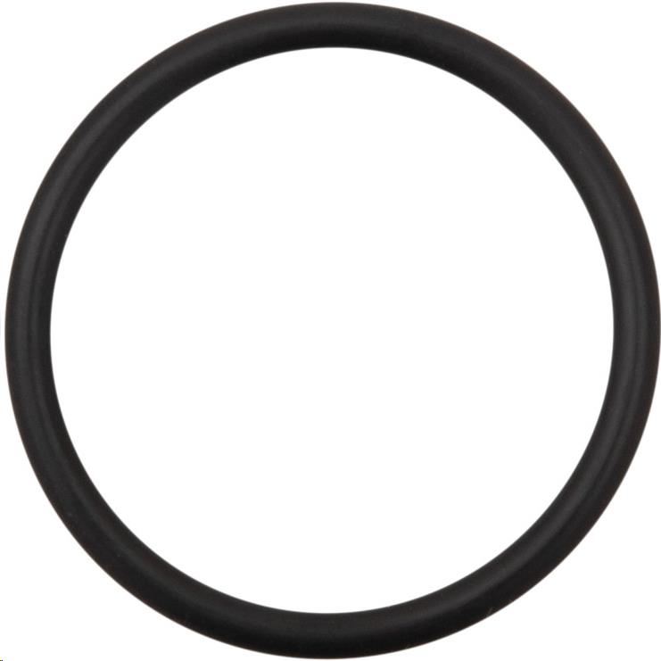 Alternator Cap O-Ring