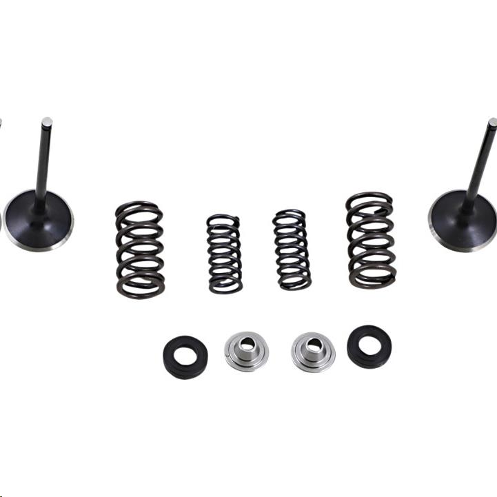 Intake Stainless Valve and Spring Kit