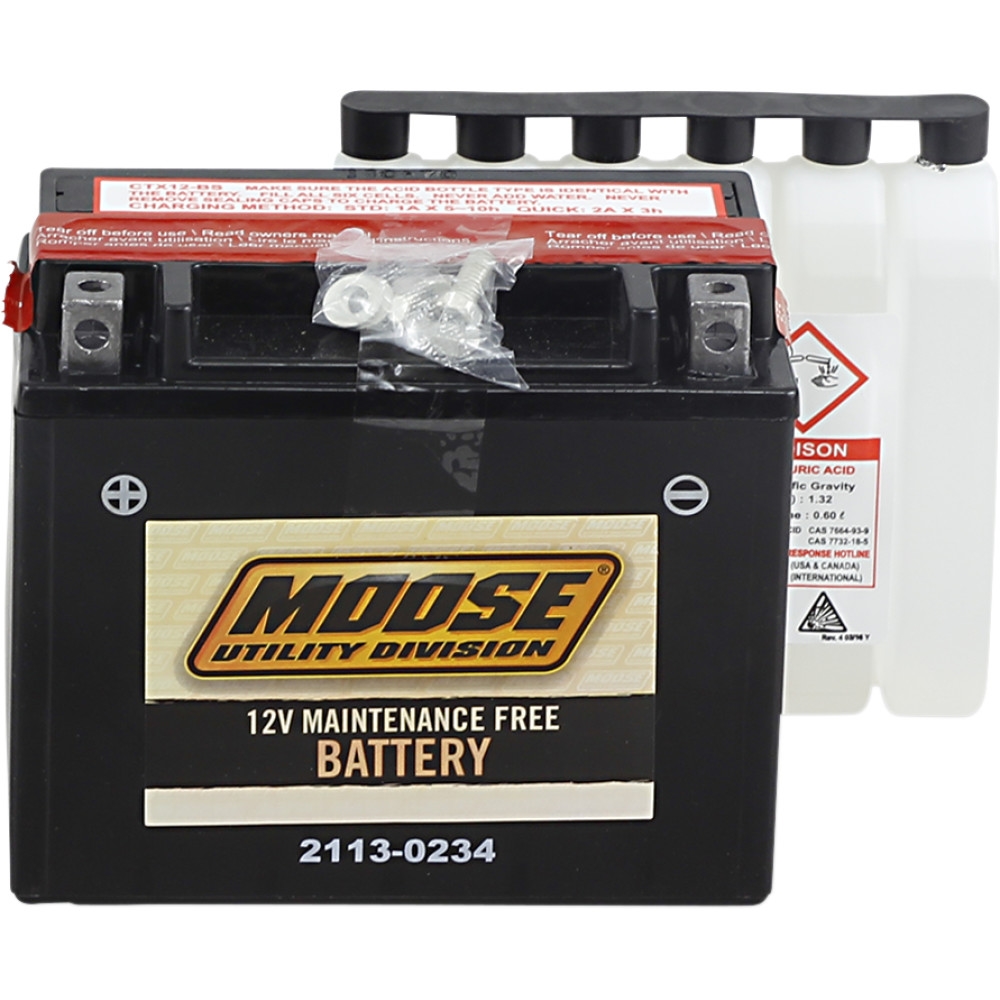 AGM Maintenance Free Battery