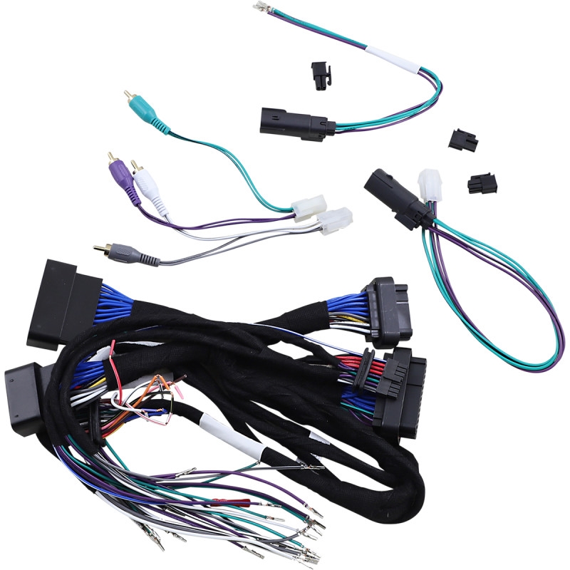 Digital Signal Processor and Amplifier Harness