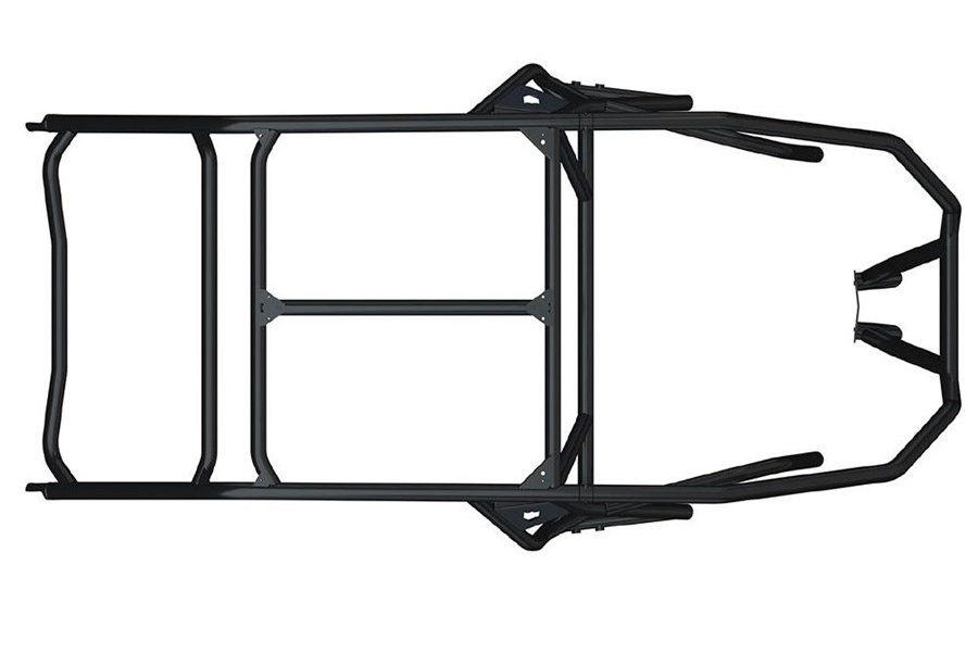 Pro XP Cage without Intrusion - Raw