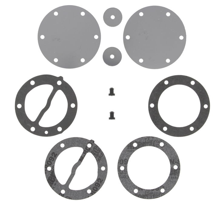 Fuel Pump Rebuild Kit