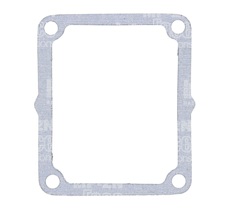 Reed Gasket