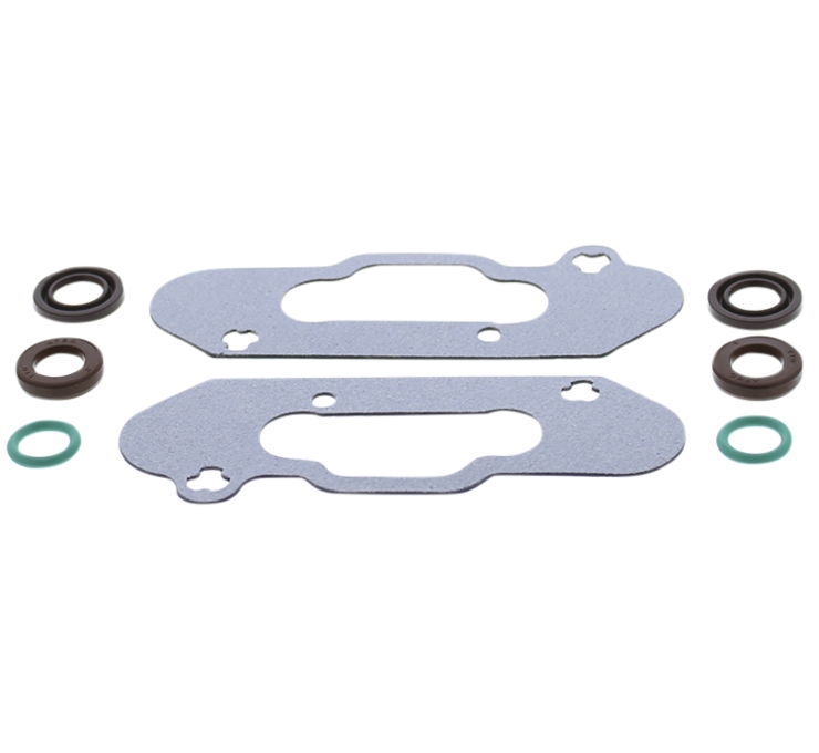 Power Valve Gasket Kit