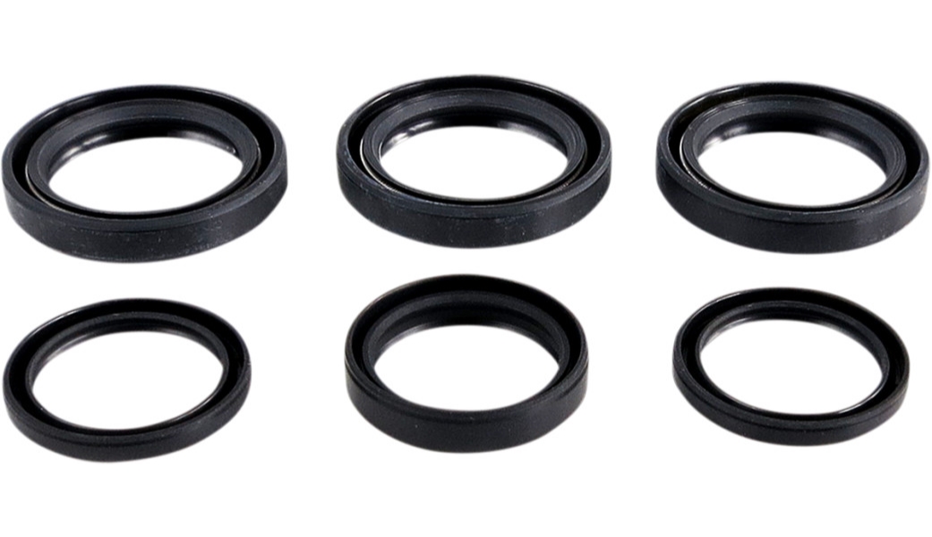 Differential Seal Kit