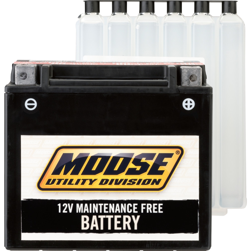 AGM Maintenance-Free Battery