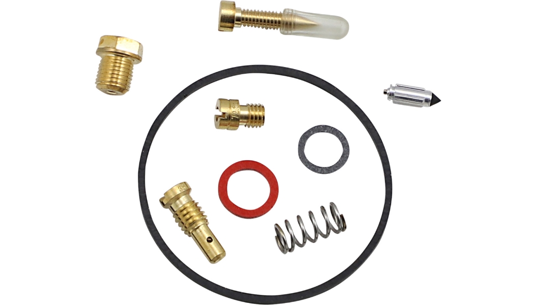 Carburetor Repair Kit