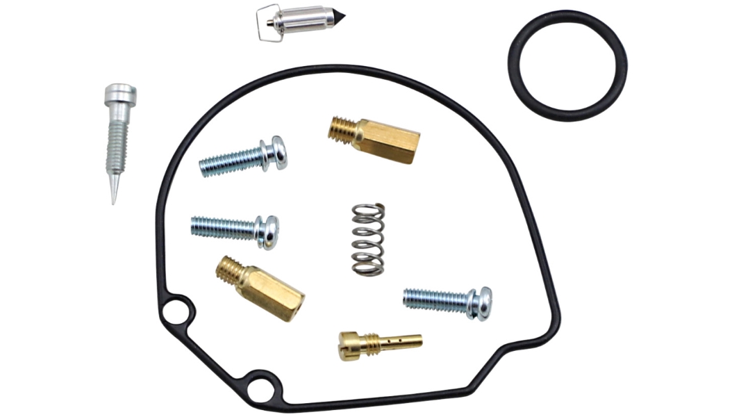Carburetor Repair Kit