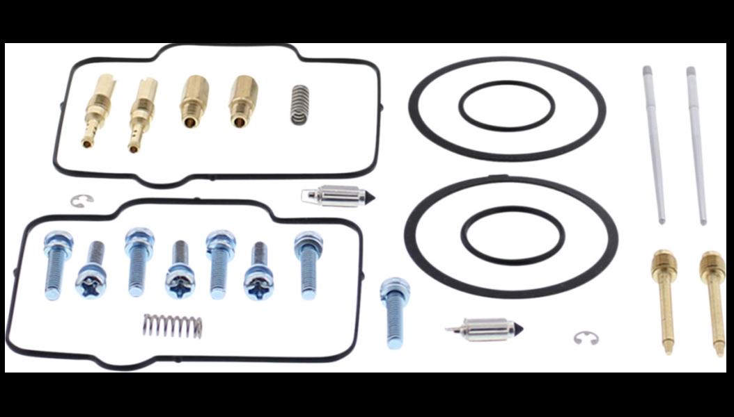 Carburetor Repair Kit