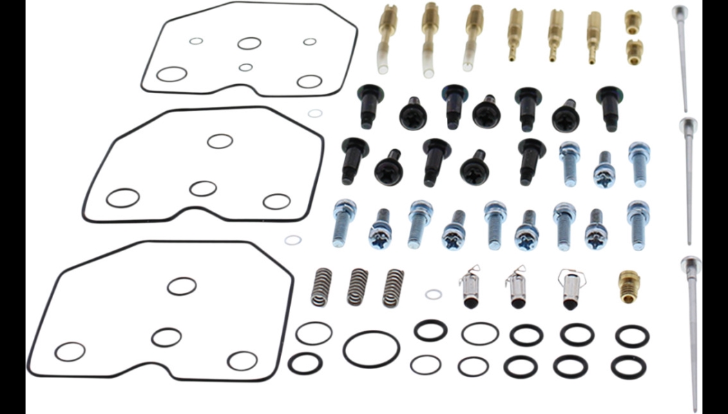 Carburetor Repair Kit