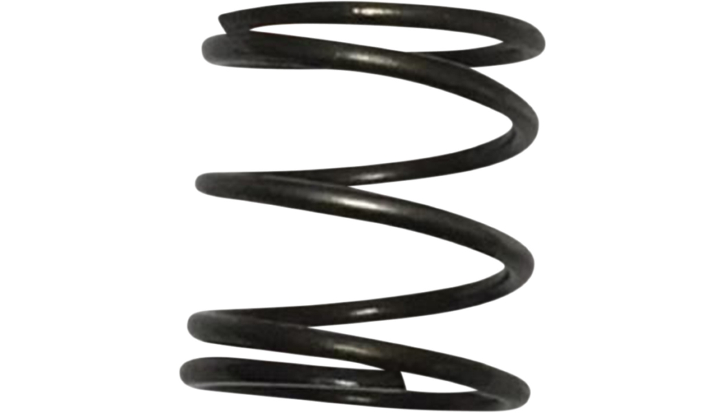 Pushrod Cover Springs