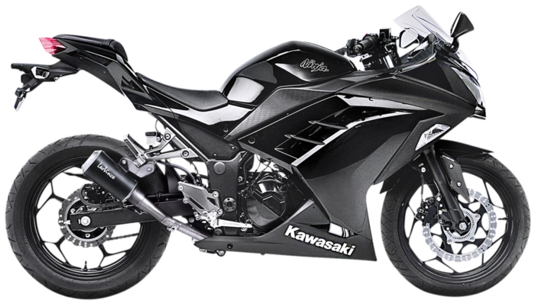 LV-10 Slip-On - Carbon Muffler - Stainless End Cap