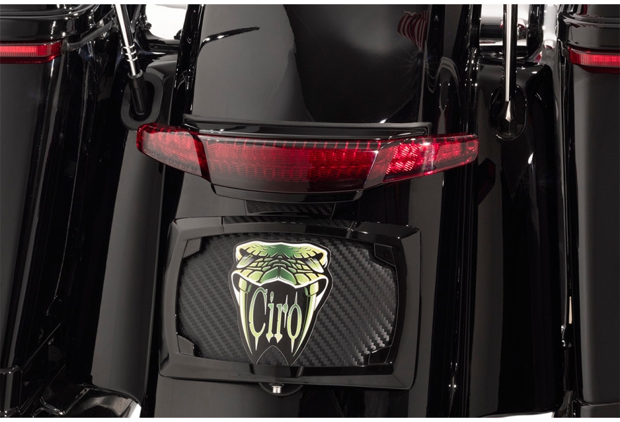 Tail Light and License Plate Mount - Black with Red Lens