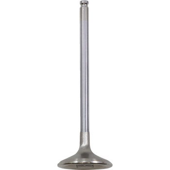 White Diamond Exhaust Valve