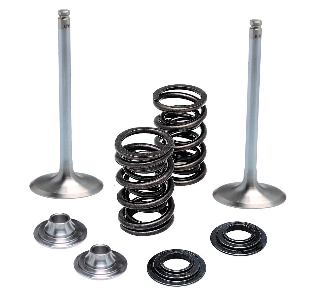 Intake Only Stainless Conversion Valve/Spring Kit