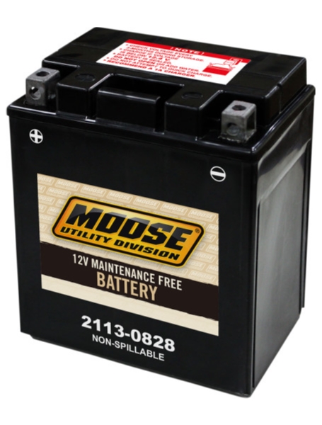 Factory-Activated AGM Maintenance-Free Battery - YTX14AH-BS