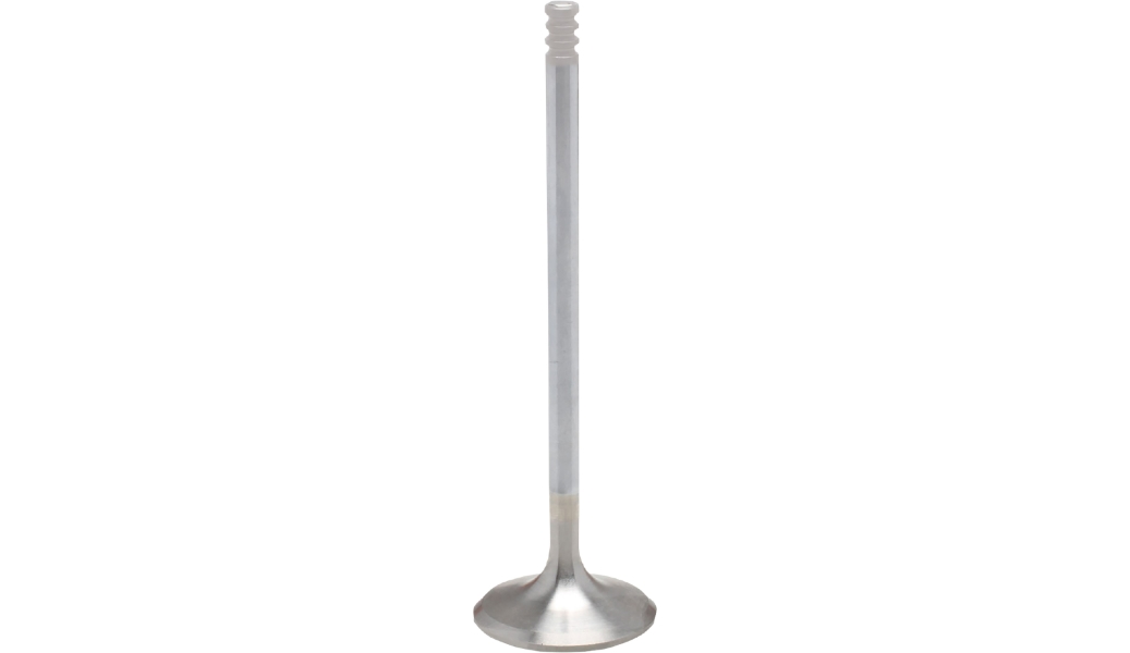 White Diamond Inconel Exhaust Valve