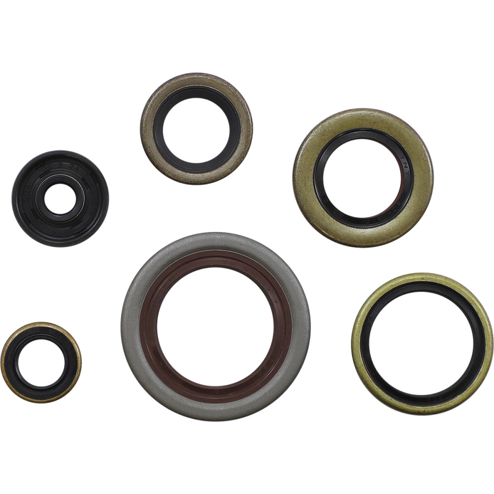 Oil Seal Kit