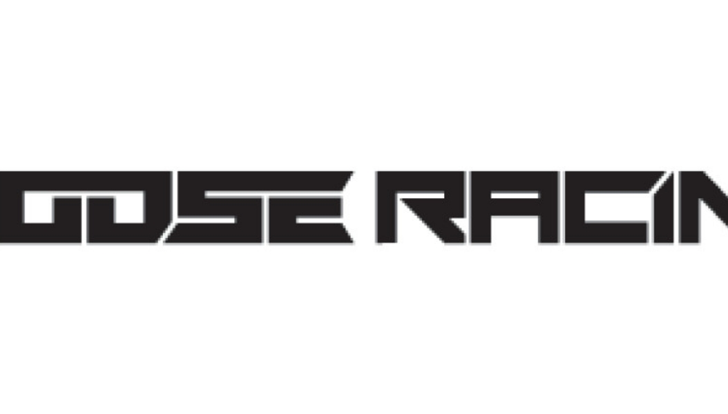 Corporate Rectangle Decals -10pk