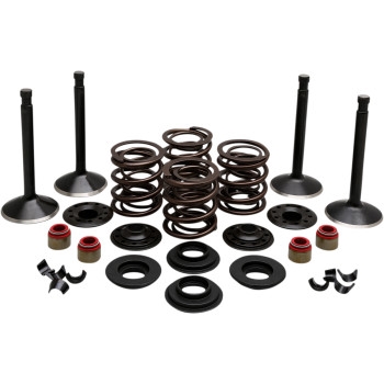 Engine Valve Kit for Panhead