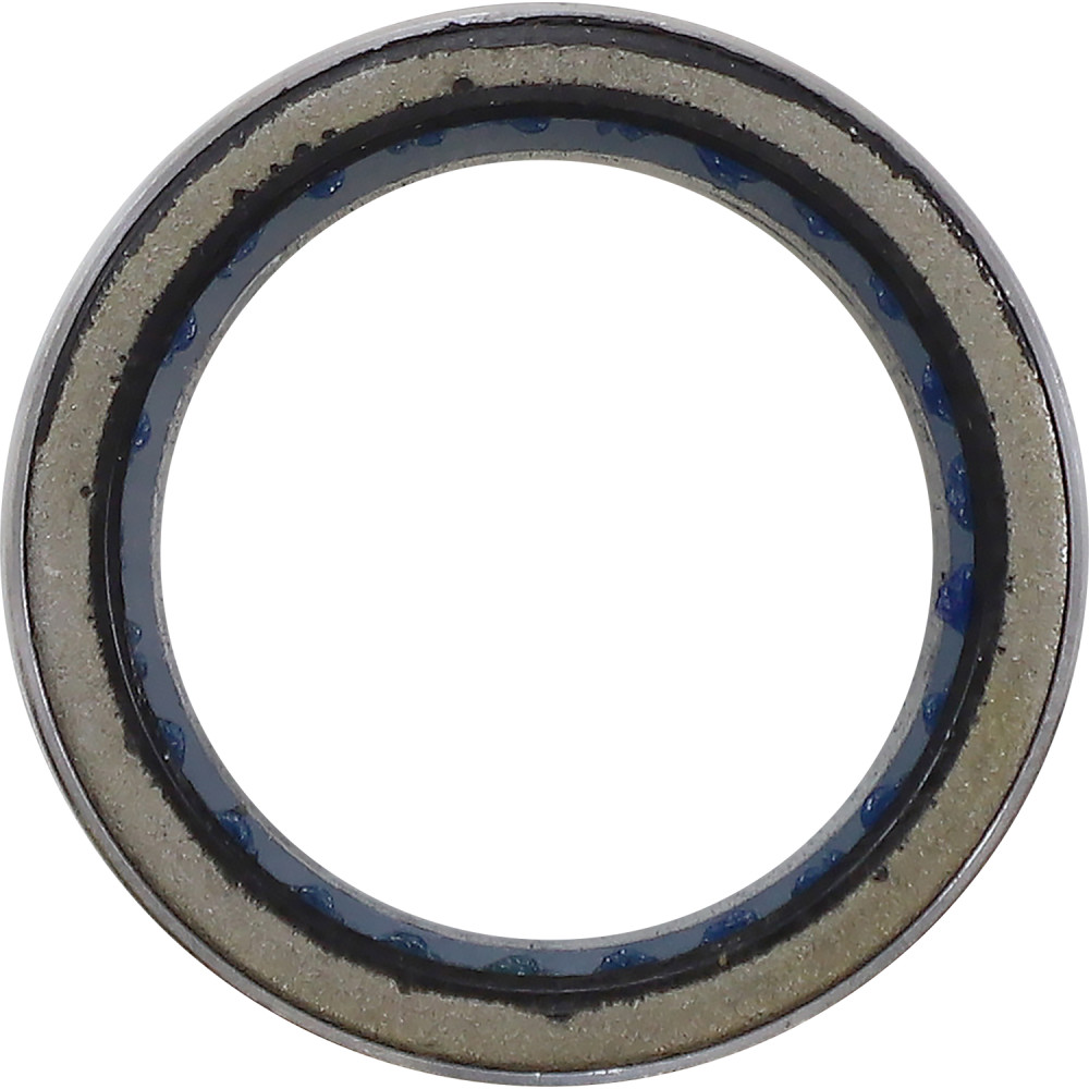 Primary Clutch Bearing