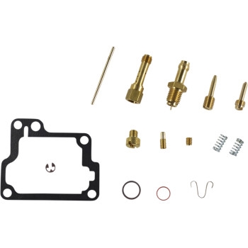 Carburetor Repair Kit