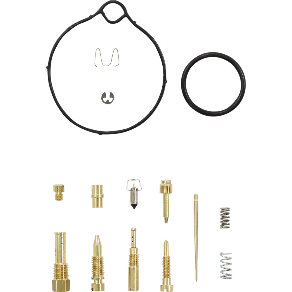 Carburetor Repair Kit