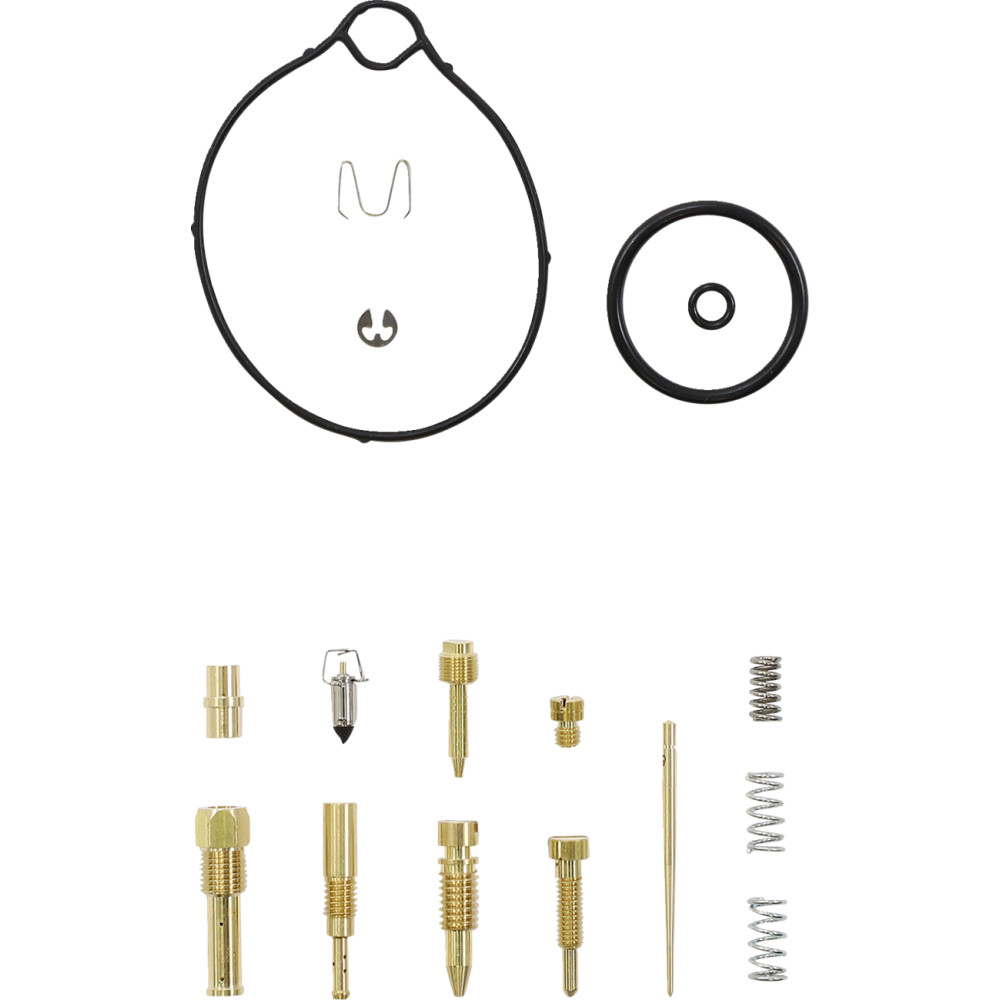Carburetor Repair Kit