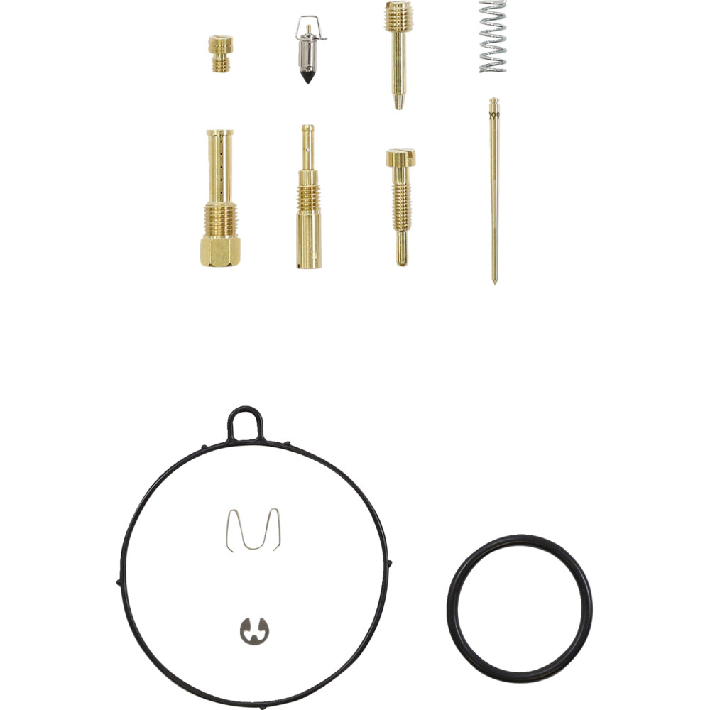 Carburetor Repair Kit