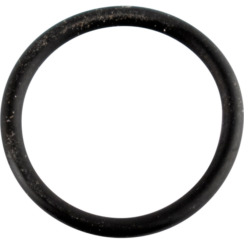 Cam Sensor O-Ring