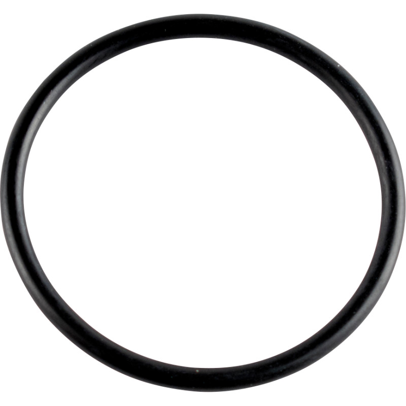 Cam Cover O-Ring